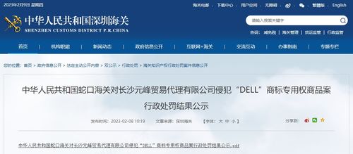 长沙元峰贸易代理侵犯Dell商标专用权商品案行政处罚结果公示