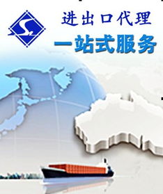 中小企业代理商服务 国内贸易代理与出口贸易服务全面指南